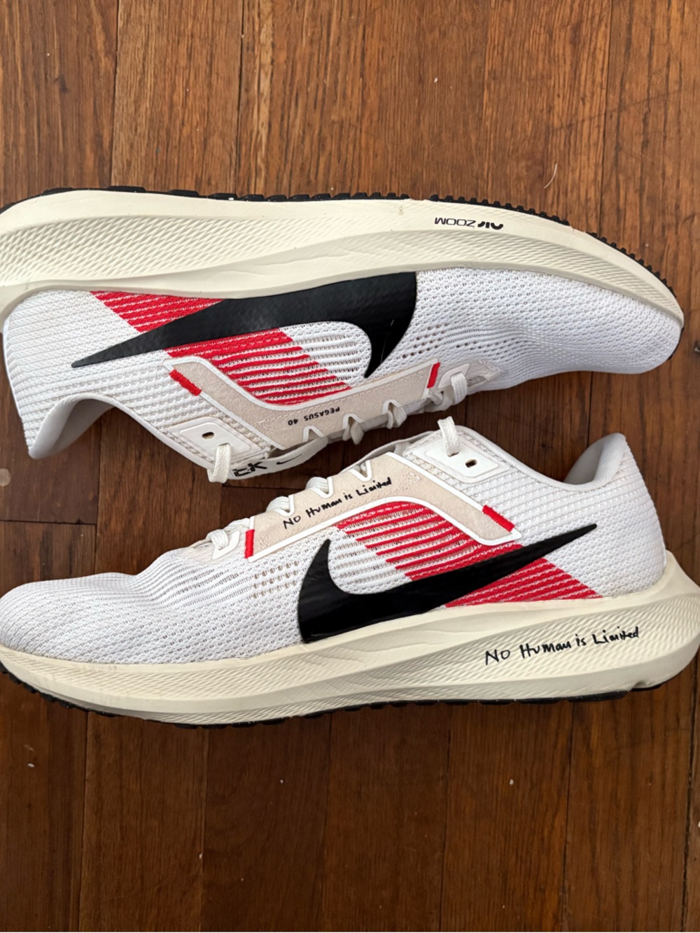 Air Zoom Pegasus 40 “Kipchoge”